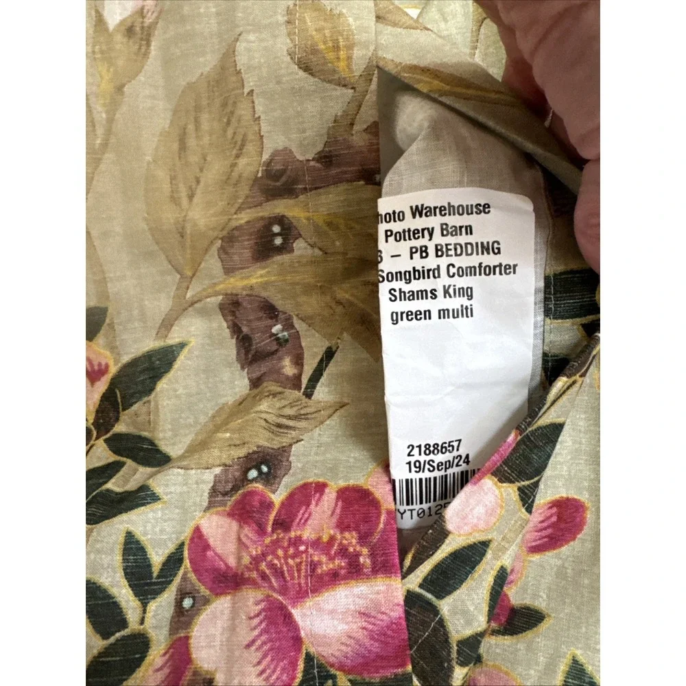 Pottery Barn Nola Songbird KING Sham (1) - Green Multi Birds Butterflies NEW